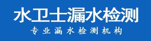 青龙暗管漏水检测