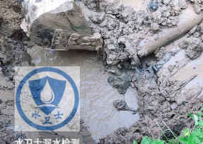 青龙水管漏水检测公司5